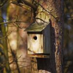Vogelfutterhaus im privaten Garten