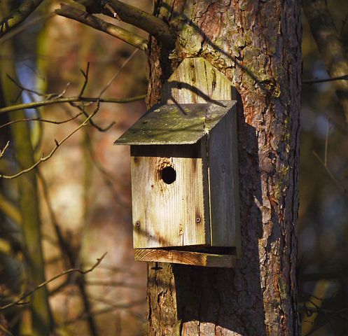 Vogelfutterhaus im privaten Garten